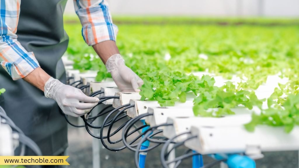 Impact of Sustainable Technology on Agriculture