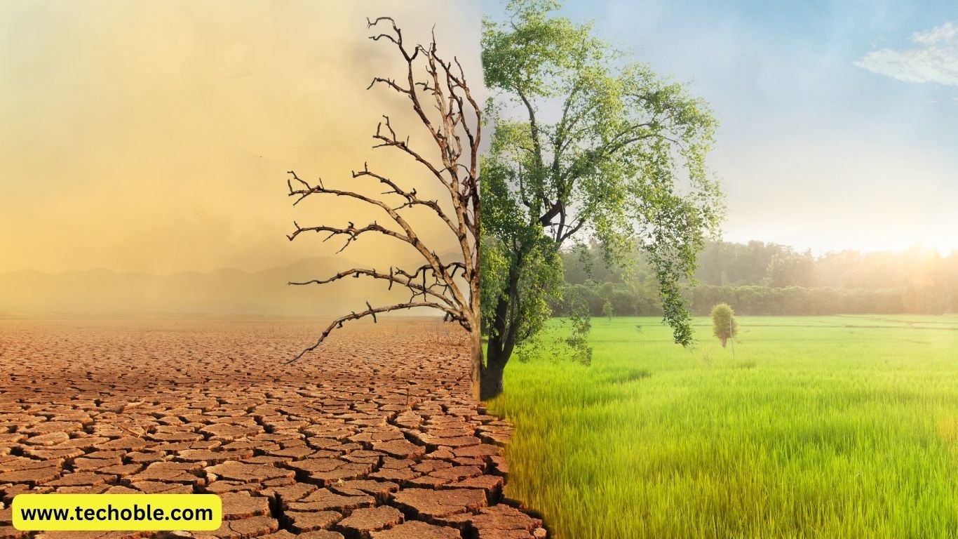 The Role of Emerging Tech in Climate Change Solutions